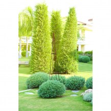 18283 - decorative obelisks rust in-situ